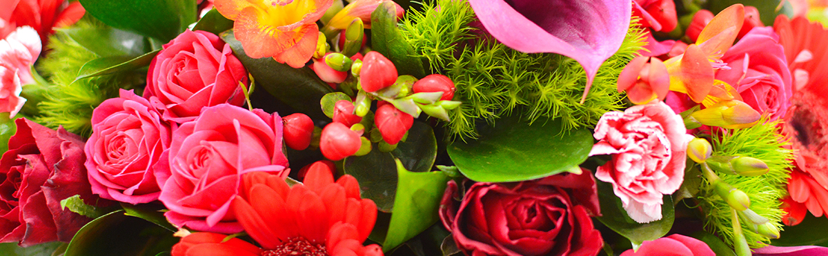 Birthday Flowers & Gifts